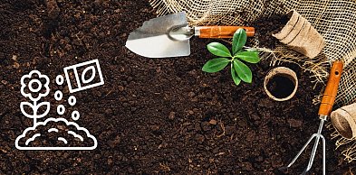 Jak nie "spalić" pierwszych wysiewów na progu wiosny?