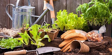 Księżycowy kalendarz ogrodnika - kwiecień 2026