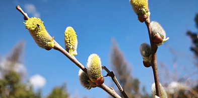 Kwiecień - plecień... czyli prognoza pogody na Wielkanocny weekend