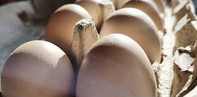 Bez nich trudno sobie wyobrazić Wielkanoc. Dlaczego jajka są tak wartościowym skła