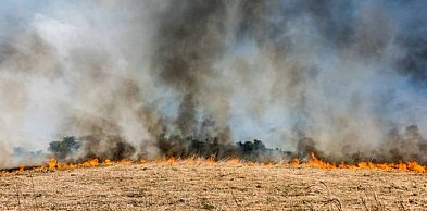Mimo zaostrzenia kar wciąż dochodzi do wielu pożarów traw