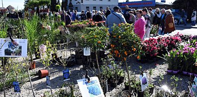 Sierakowice. Gratka dla miłośników ogrodnictwa - Święto Kwiatów i Krzewów