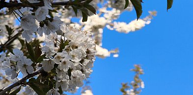 Dobre prognozy na majówkę. Ma być naprawdę ciepło!