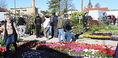 Sierakowice. Święto kwiatów i krzewów rozpoczęło majówkę