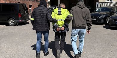 Seria zatrzymań. Podejrzany o kradzież w UK wpadł na Kaszubach