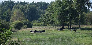 Sulęczyno. Jeszcze kilka dni na zgłaszanie pięknych zagród i wsi do konkursu