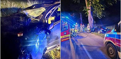 Nocny wypadek w Leźnie. Auto roztrzaskało się na drzewie