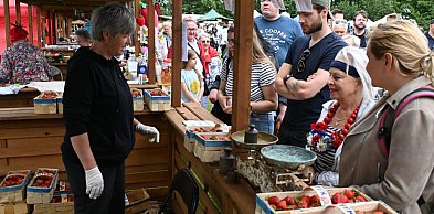 Festiwal Truskawek Kaszubskich już wkrótce. Jaki rekord w tym roku?