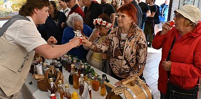 Od mirabelki po pomidora. Niezwykłe smaki na Festiwalu Nalewek Kaszubskich