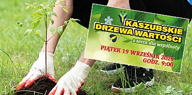 Co wyrośnie w Stężycy? Drzewa... miłości, radości i życzliwości!-71454