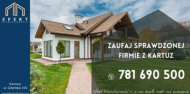 Efekt Nieruchomości – Twój zaufany partner na rynku nieruchomości-71593