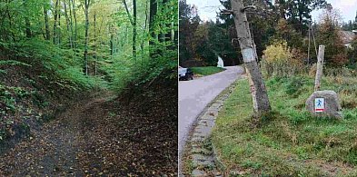Aktywna sobota w Sulminie: otwarcie świeżo odnowionych tras nordic walking-72675