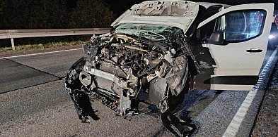 Egiertowo. Tyle zostało z samochodu po zderzeniu z jeleniem-72798