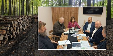 Sulmin. Wycinka lasu zostanie wstrzymana. To reakcja na sygnały mieszkańców-73032
