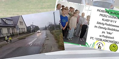 Uczniowie ze szkoły w Podjazach promują bezpieczeństwo na drodze-73208