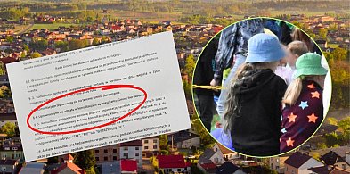 Sierakowice. To nie żart. W ankiecie o prawach miejskich zagłosują dzieci?-73568