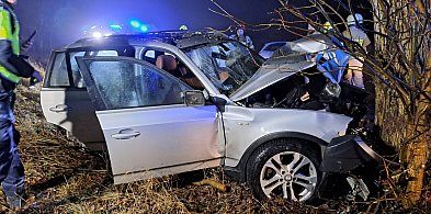 Węsiory. BMW uderzyło w drzewo. Są ranni-74867