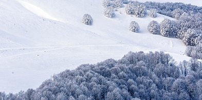 Zima w Szwajcarii Kaszubskiej: Gdzie na spacer, na narty i na kulig-74832