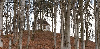 Kartuzy. Góra Spiczasta czeka na zagospodarowanie. Ale nie będzie łatwo-74940
