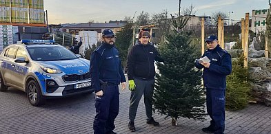 Akcja Choinka. Policjanci kontrolują lasy i punkty sprzedaży drzewek-75315