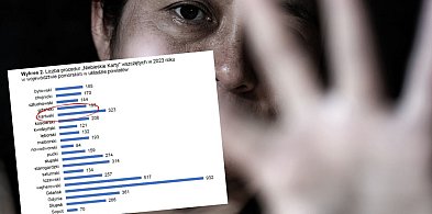 Raport o skali przemocy domowej. Powiat kartuski w niechlubnej czołówce-75294