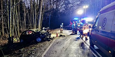 Egiertowo. Mężczyzna poważnie ranny w wypadku-75480