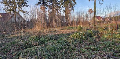 Somonino. Uprzątnięto teren dawnego cmentarza ewangelickiego-75508