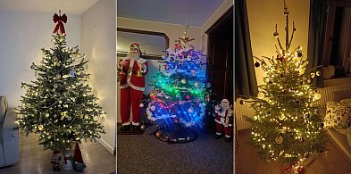 Rośnie nasza wspólna galeria choinek. Są piękne!-75607