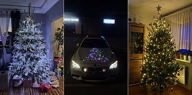 Galeria choinek cały czas rośnie. Są i tradycyjne i oryginalne...-75607