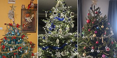 Przybywa zdjęć Waszych choinek. Są piękne!-75607