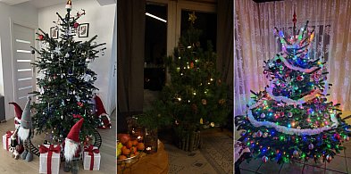 Stworzyliście wspólnie galerię choinek. Dziękujemy za Wasze zdjęcia!-75607