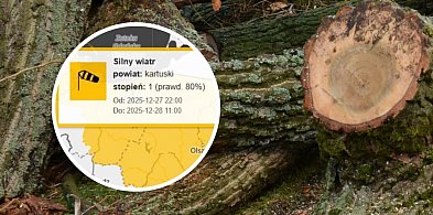 Wiatr na szczęście nie narobił szkód w pow. kartuskim-75673