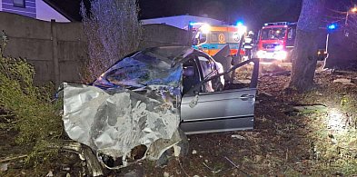 Niestępowo. Koszmarne uderzenie w betonowe ogrodzenie-75778