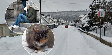 Najbliższe noce będą bardzo mroźne! Zadbajmy o ludzi i zwierzęta-76030
