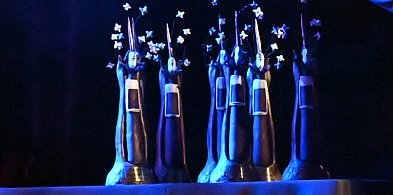 Kto powinien otrzymać nagrodę burmistrza Kartuz? Ruszyły zgłoszenia-76546