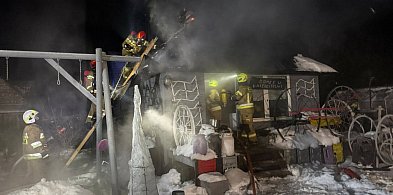 Borowiec. Pożar domku letniskowego. Na szczęście szybko opanowany-76573