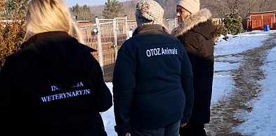 W województwie pomorskim ruszyły kontrole schronisk dla zwierząt