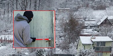 Kartuzy. Plaga włamań na ogródkach działkowych. 41-latek kradł co popadnie