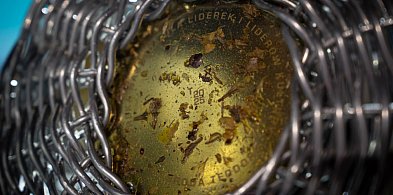 Ruszył nabór do Nagrody Teodory – 20 tys. zł dla liderów pomorskiej kultury