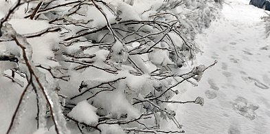Na Kaszubach cały czas mróz będzie dawał w kość. Są nowe ostrzeżenia