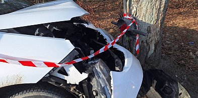 Egiertowo. Osobówka uderzyła w drzewo. Jedna osoba poszkodowana