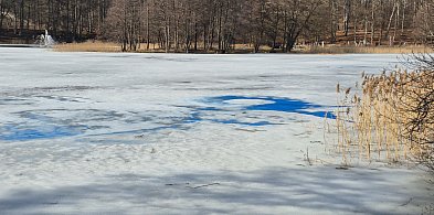 Kartuzy. Nieznana substancja w Jeziorze Klasztornym Małym