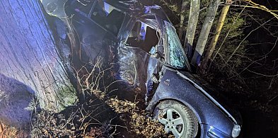Złota Góra. Osobówka uderzyła w drzewo. Kierowca został poważnie ranny