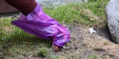 Koniec z psimi "niespodziankami"? Gm. Żukowo rozda 10 tys. woreczków