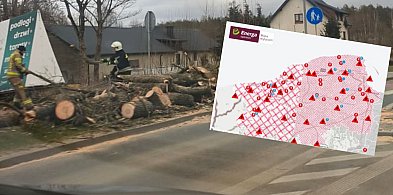 Region. Połamane drzewa i konary. W wielu miejscach nie ma prądu