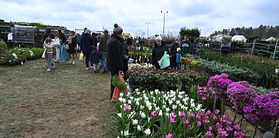 W Lubaniu odbędą się targi dla miłośników ogrodnictwa i pszczelarstwa