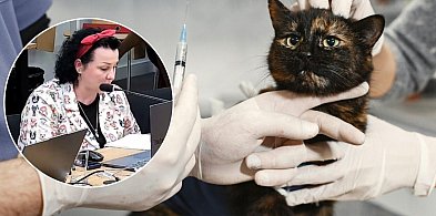 Żukowo. Kiedy obiecana sterylizacja i znakowanie zwierząt? Konkretów brak