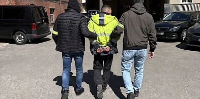 Seria zatrzymań. Podejrzany o kradzież w UK wpadł na Kaszubach