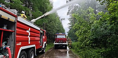 Setki metrów linii gaśniczej i drony nad lasem. Duże manewry w Połęczynie