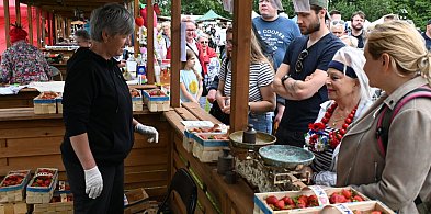 Festiwal Truskawek Kaszubskich już wkrótce. Jaki rekord w tym roku?